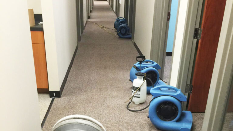 Floor cleaning is vital for wellbeing and security